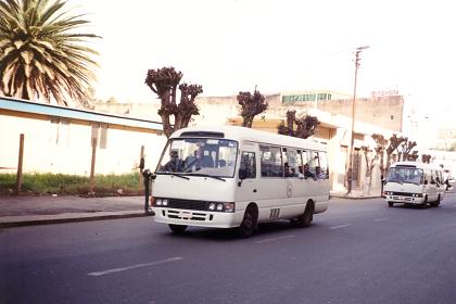 Busses of Gemel Public Transport