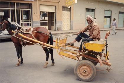 Horse-drawn gharis near the covered market of Asmara